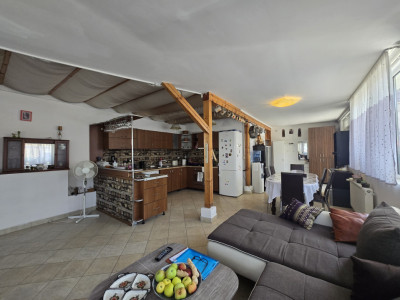 Case de vanzare Sura Mica imagine mica 18