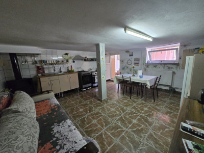 Case de vanzare Sura Mica imagine mica 19