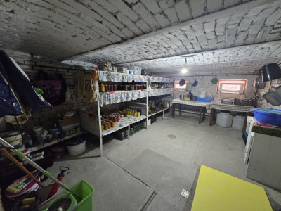 Case de vanzare Sura Mica imagine mica 21