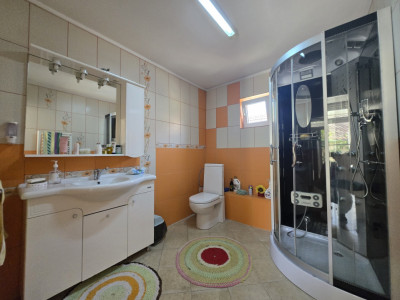 Case de vanzare Sura Mica imagine mica 23