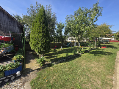 Case de vanzare Sura Mica imagine mica 24