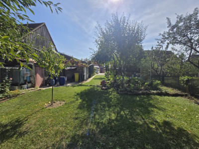 Case de vanzare Sura Mica imagine mica 25