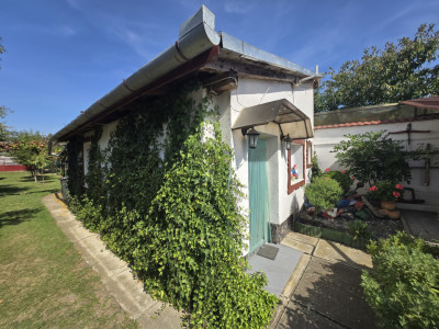 Case de vanzare Sura Mica imagine mica 27