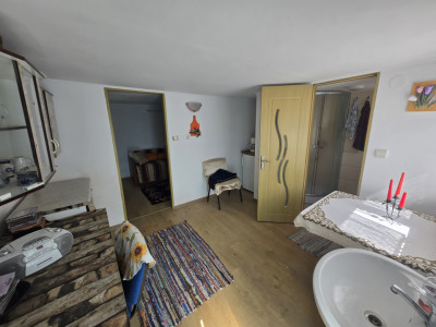 Case de vanzare Sura Mica imagine mica 28