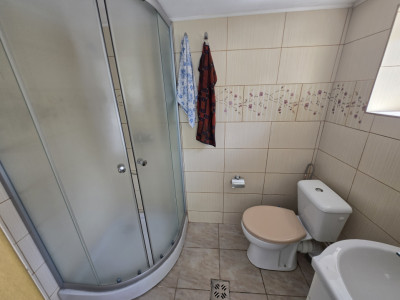 Case de vanzare Sura Mica imagine mica 30