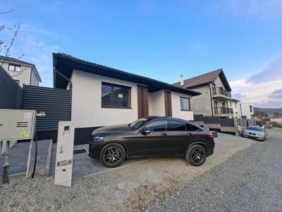 Case de vanzare Sura Mare imagine mica 2