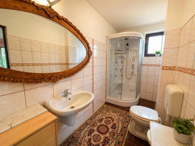 Case de vanzare Cluj-Napoca Grigorescu imagine mica 4