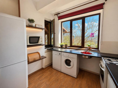 Case de vanzare Cluj-Napoca Grigorescu imagine mica 9