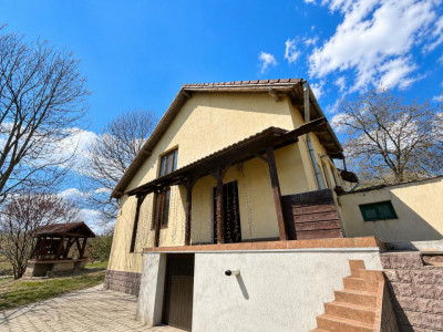 Case de vanzare Cluj-Napoca Grigorescu imagine mica 2