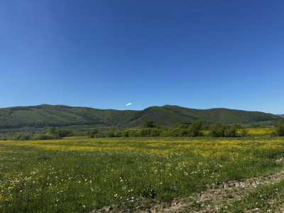 Teren intravilan in Poplaca cu vedere la munti pretabil cabana
