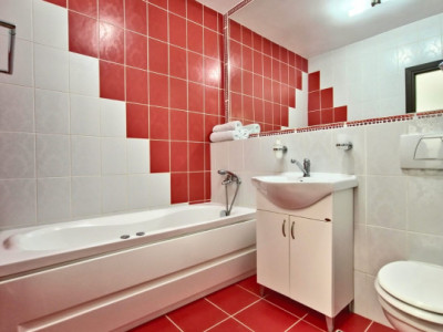 Apartamente de vanzare Sibiu Rahovei imagine mica 11