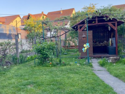 Apartamente de vanzare Sibiu Lupeni imagine mica 13