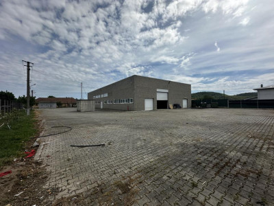 Hala industriala de inchiriat in Selimbar acces tir curte privata