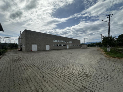 Spatii industriale de inchiriat Sibiu Selimbar imagine mica 2