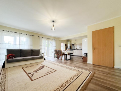 Case de vanzare Cluj-Napoca Borhanci imagine mica 1