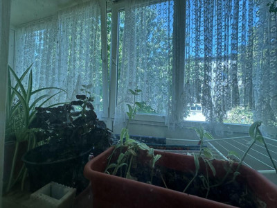 Apartamente de vanzare Cluj-Napoca Grigorescu imagine mica 7