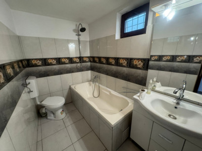 Spatii comerciale de vanzare Sibiu Calea Dumbravii imagine mica 7