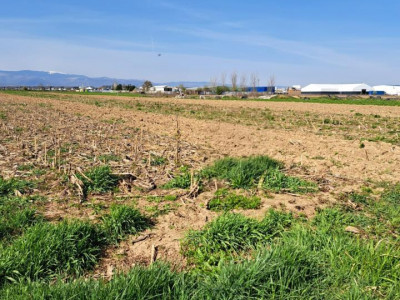 Terenuri de vanzare Sibiu Selimbar imagine mica 2