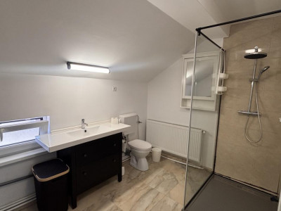 Apartamente de inchiriat Sura Mare imagine mica 9