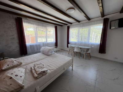 Hoteluri de vanzare Rasinari imagine mica 23