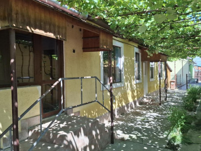 Case de vanzare Sibiu Turnisor imagine mica 2