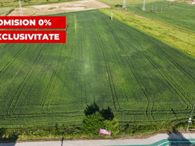 Oportunitate colosala de investitie Teren Intravilan 13.650mp Făgăras