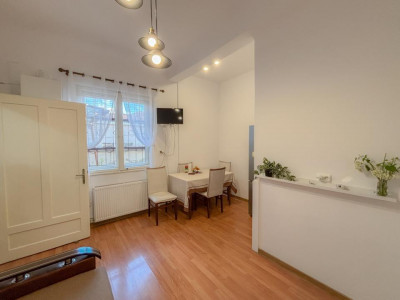 Apartamente de inchiriat Cluj-Napoca Centru imagine mica 8