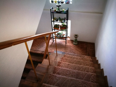 Spatii birouri de inchiriat Sibiu Sub Arini imagine mica 11