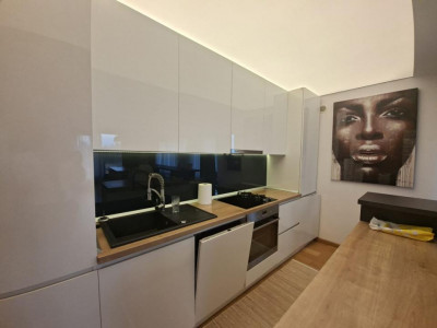 Apartamente de inchiriat Sibiu Sub Arini imagine mica 27