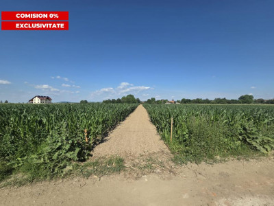 Teren intravilan 2000 mp si extravilan 1150 mp de vanzare in Vad