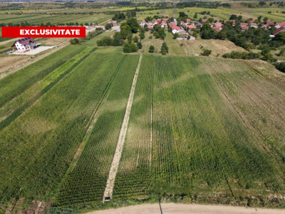 Teren intravilan 2000 mp si extravilan 1150 mp de vanzare in Vad