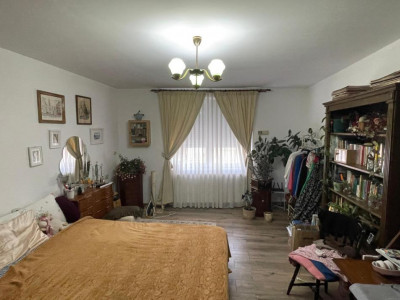 Case de vanzare Sibiu Lazaret imagine mica 7