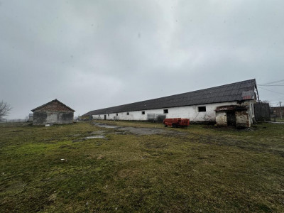 Teren de vanzare 8380 mp cu anexa de 1538 mp judet Sibiu Mohu