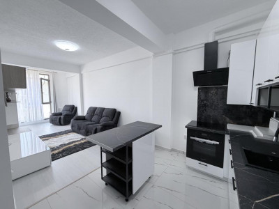 Apartament nou cu 2 camere de inchiriat in zona Doamna Stanca