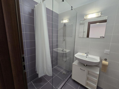 Apartamente de inchiriat Sibiu Lupeni imagine mica 7