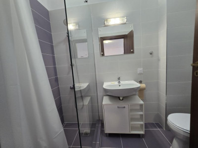 Apartamente de inchiriat Sibiu Lupeni imagine mica 8