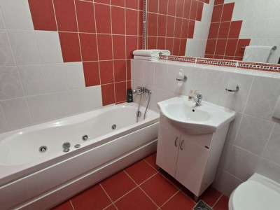 Apartamente de vanzare Sibiu Rahovei imagine mica 12