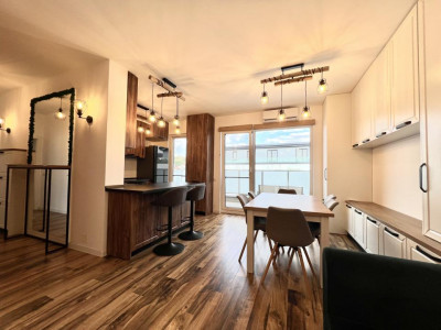 Apartamente de vanzare Cluj-Napoca Borhanci imagine mica 2