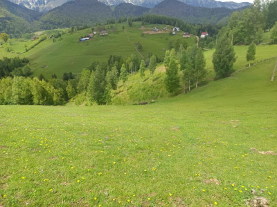 Terenuri de vanzare Brasov imagine mica 1