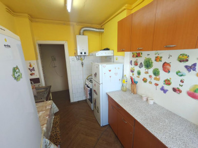 Apartamente de inchiriat Sibiu Terezian imagine mica 6