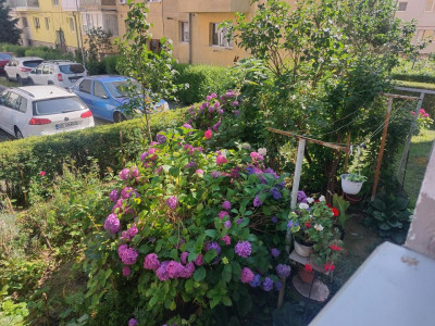Apartamente de inchiriat Sibiu Calea Dumbravii imagine mica 16