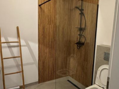 Apartamente de vanzare Sebes imagine mica 7