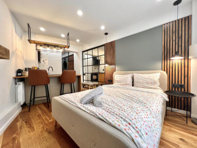 Apartamente de vanzare Cluj-Napoca Centru imagine mica 3