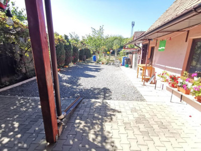 Case de vanzare Sibiu Lazaret imagine mica 8