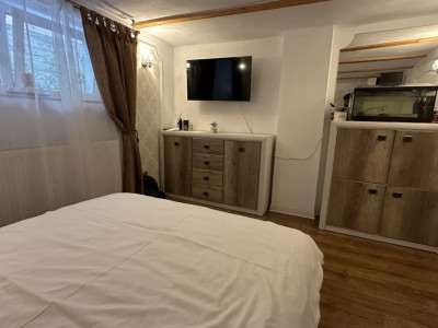 Apartamente de inchiriat Sibiu Tilisca imagine mica 3