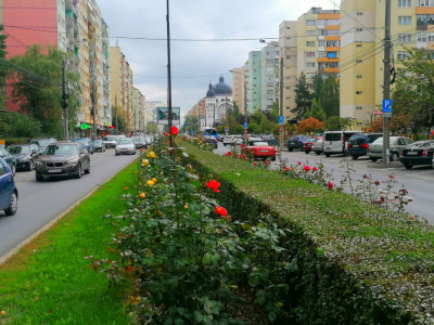 Apartamente de inchiriat Sibiu Mihai Viteazul imagine mica 6