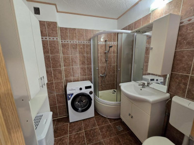 Apartamente de vanzare Sibiu Siretului imagine mica 7
