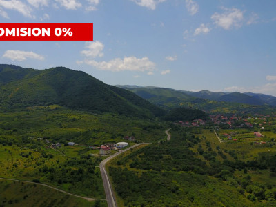 Case de inchiriat Cisnadie imagine mica 2