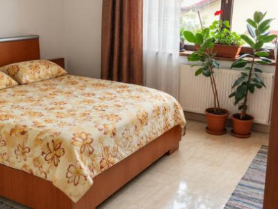 Apartamente de vanzare Cluj-Napoca Buna-Ziua imagine mica 1
