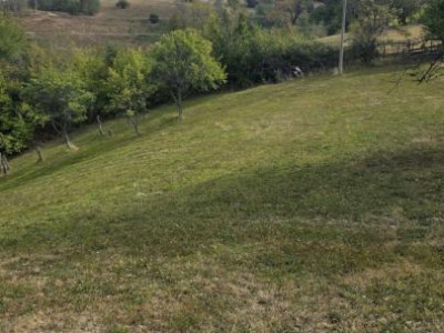 Terenuri de vanzare Plesi imagine mica 1